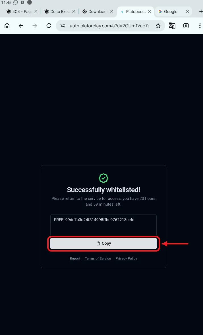 Successfully whitelisted page showing the key and the Copy button highlighted